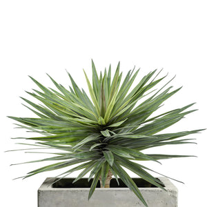 Large Artificial Agave Plant – UV Resistant Faux Succulent Floor Plant