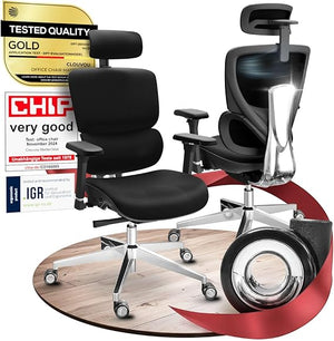 Ergonomic Office Chair with Mesh Back & 3D Headrest