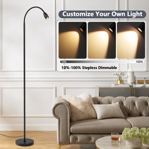 Gooseneck LED Floor Lamp with Remote & Touch Control