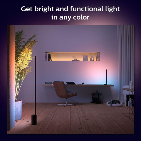Smart Gradient Floor Lamp with Color Ambiance – Black & White