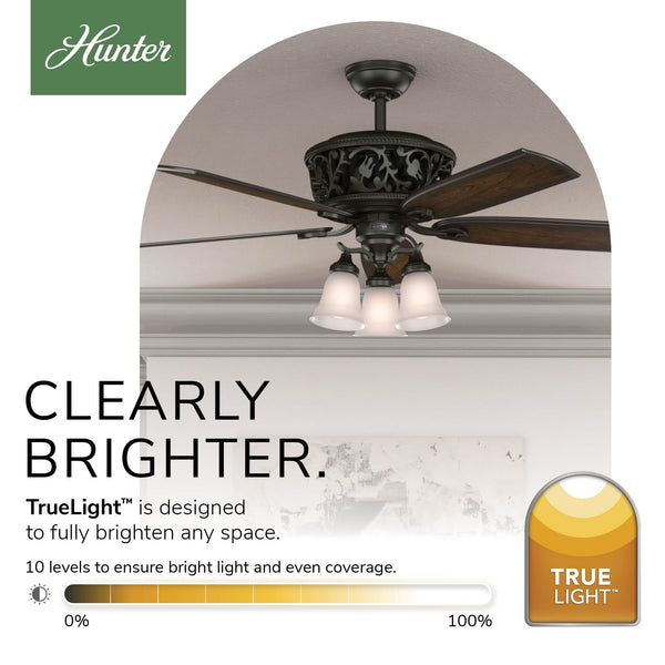 54-Inch Traditional Ceiling Fan with LED Lights and Remote