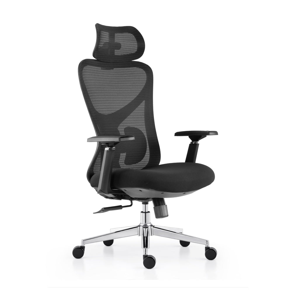 Ergonomic Mesh Office Chair with 3D Adjustable Headrest & Lumbar Support