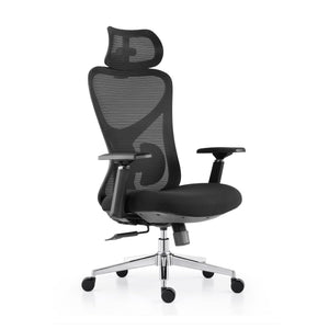 Ergonomic Mesh Office Chair with 3D Adjustable Headrest & Lumbar Support