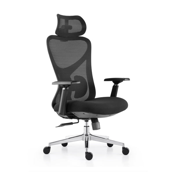 Ergonomic Mesh Office Chair with 3D Adjustable Headrest & Lumbar Support