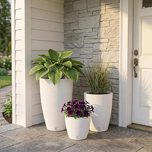 Round Plastic Plant Pots Set of 3 with Drainage Hole and Saucer