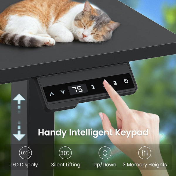 L-Shaped Electric Standing Desk with Storage