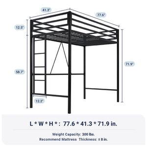 Twin Metal Loft Bed with Guardrail & Ladder