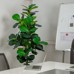 Artificial Fiddle Leaf Fig Tree with White Planter
