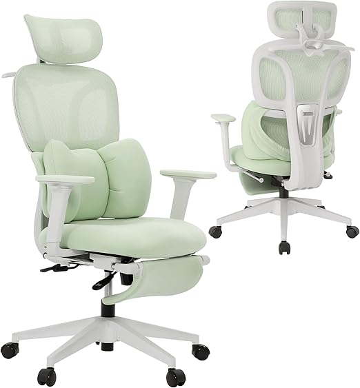 Ergonomic High Back Office Chair with Fixed Lumbar Support & Detachable Pillow