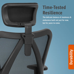 Ergonomic Mesh Office Chair with 4D Lumbar Support