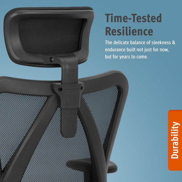 Ergonomic Mesh Office Chair with 4D Lumbar Support