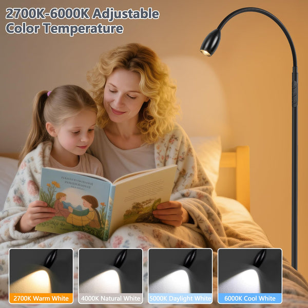 Gooseneck LED Floor Lamp with Remote & Touch Control