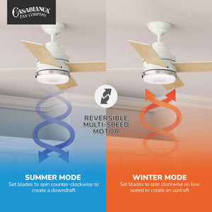54-Inch Indoor Ceiling Fan with LED Light & Wall Control