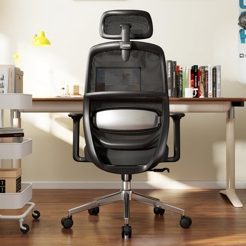 Ergonomic High Back Office Chair with 3D Lumbar Support