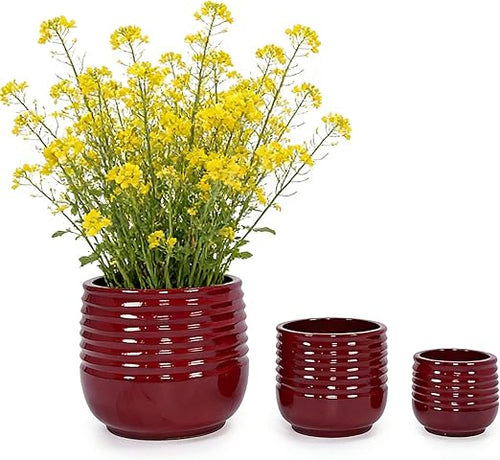 Ceramic Plant Pots Set of 3 with Drainage Holes – Ribbed Glossy Planters
