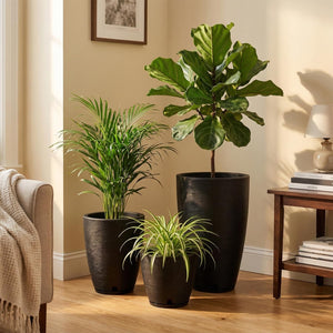 Round Plastic Plant Pots Set of 3 with Drainage Hole and Saucer
