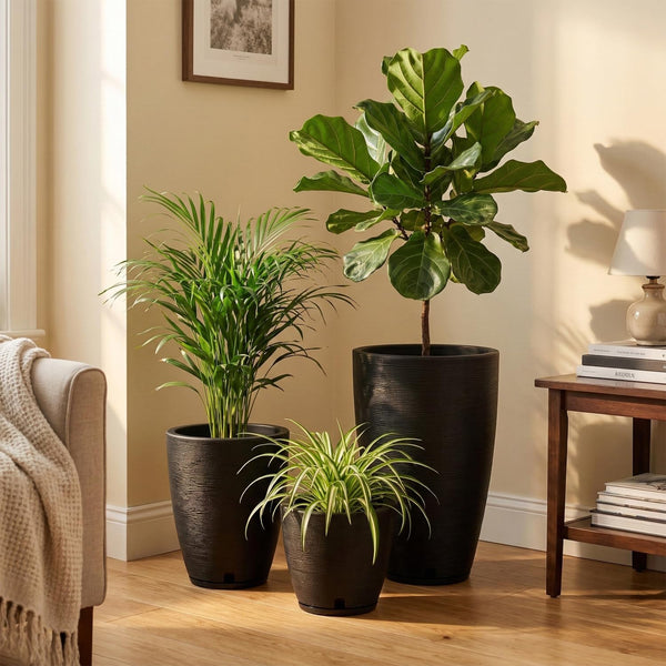 Round Plastic Plant Pots Set of 3 with Drainage Hole and Saucer