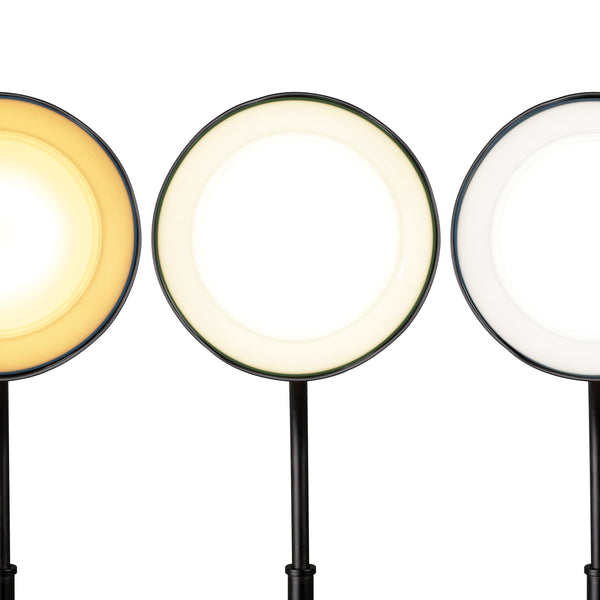 Wireless Charging LED Table Lamp with Flexible Neck