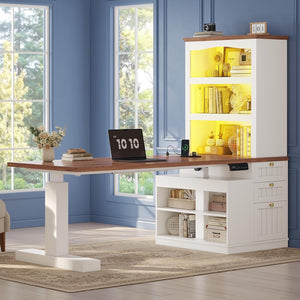 Electric Standing Desk with Storage, Monitor Stand, Power Outlets & LED Lights