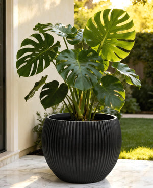 Large Plant Pots with Drainage – Indoor & Outdoor