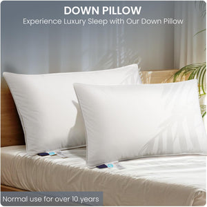 White Goose Down Pillow – 900 Fill Power, 700TC Cotton Shell