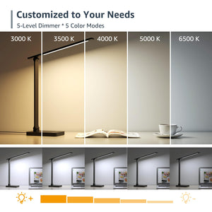LED Desk Lamp with Touch Control