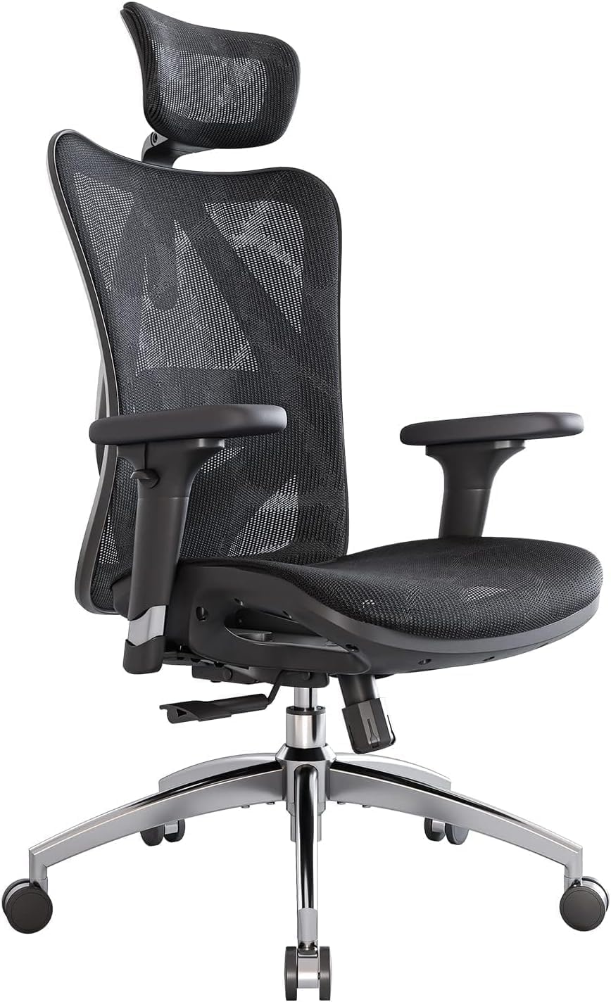 Ergonomic Mesh Office Chair High Back with Lumbar Support & Adjustable Headrest