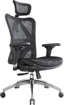 Ergonomic Mesh Office Chair High Back with Lumbar Support & Adjustable Headrest