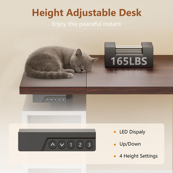 L-Shaped Electric Standing Desk with Hutch & File Cabinet