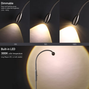 Adjustable LED Beam Floor Lamp with Flexible Gooseneck