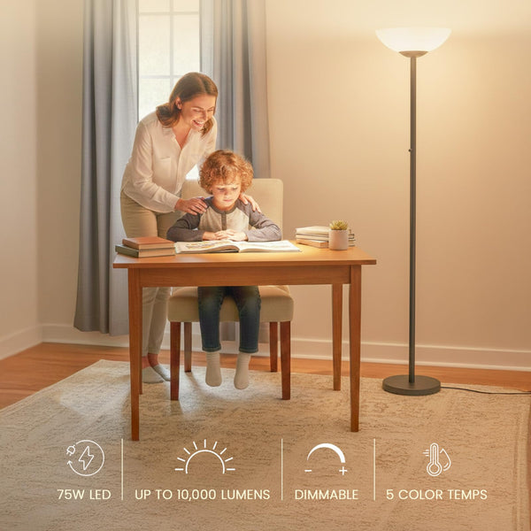 LED Floor Lamp – 10000 Lumen, Dimmable, 5 Color Temperatures