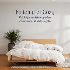 Ultra Warm Down Comforter – Full/Queen