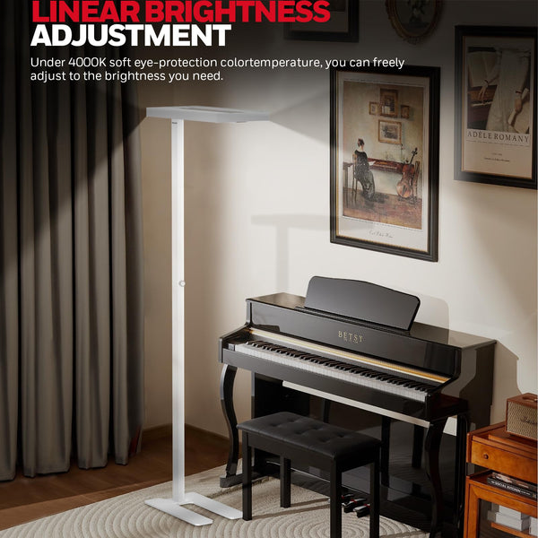 LED Floor Lamp with Eye Protection & Dimmer