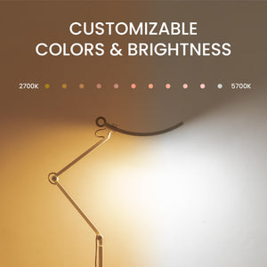 e-Reading Floor Lamp – Dimmable, 13 Color Modes, Adjustable Arm, Matte Silver