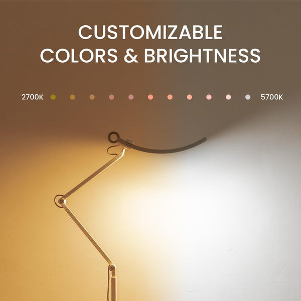 e-Reading Floor Lamp – Dimmable, 13 Color Modes, Adjustable Arm, Matte Silver