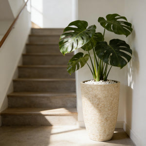 Tall Round Stone-Finish Planters Set of 2 – 14" Dia x 20.5" H, 9 Gallon