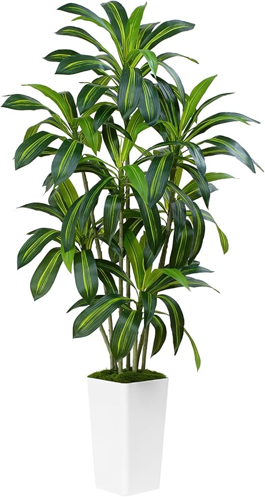 Tall Artificial Dracaena Tree with White Planter