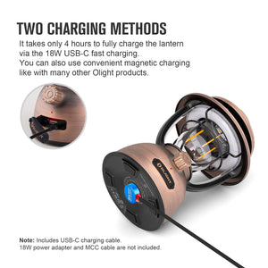 Rechargeable LED Camping Lantern with Dual Light Sources