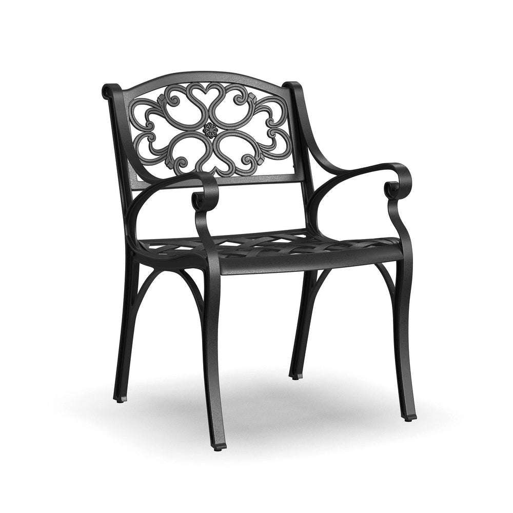 Outdoor Dining Arm Chair Set of 2 – Black Cast Aluminum