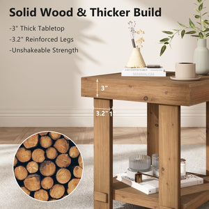 Solid Wood End Table Set of 2 with 2-Tier Storage