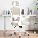 Ergonomic Mesh Office Chair with Lumbar Support & Headrest