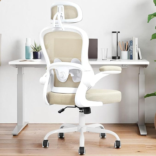 Ergonomic Mesh Office Chair with Lumbar Support & Headrest