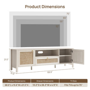 Rattan TV Stand with Drawer & Storage Cabinets