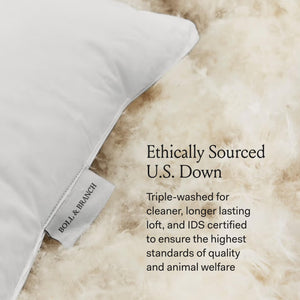Down Chamber Bed Pillow