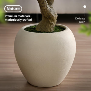 Artificial Olive Tree with Silk Leaves & White Pot