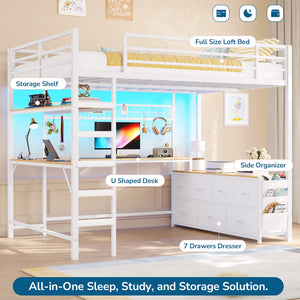 Full Size Loft Bed with Desk & Storage