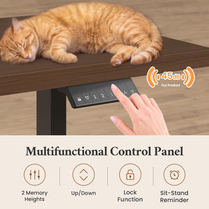 Electric Standing Desk with Dual-Side Storage & Power Outlets