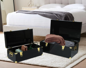 Clear Acrylic Storage Chest Set of 2 with Handles & Hasps