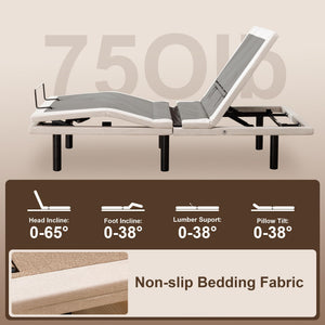 Adjustable Bed Frame with Massage, Zero Gravity & Lumbar Support