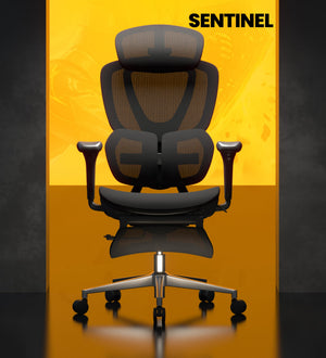 Ergonomic Mesh Office & Gaming Chair with Lumbar Support